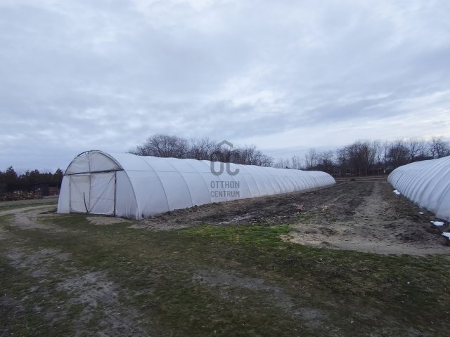 Eladó telek, Nyáregyházán 19.9 M Ft / költözzbe.hu