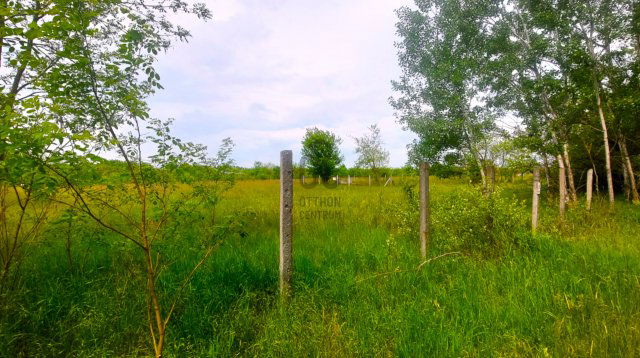 Eladó mezogazdasagi ingatlan, Budapesten, XVII. kerületben 6 M Ft