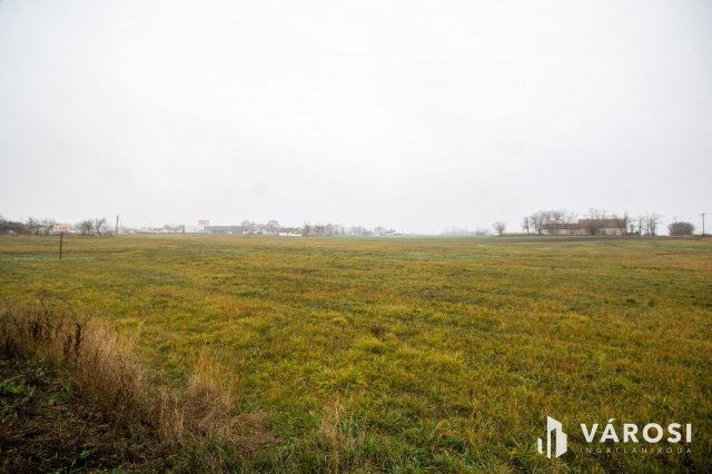 Eladó telek, Orosházán 9.9 M Ft / költözzbe.hu