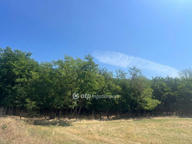 Kiadó ipari ingatlan, Bugyin 2200 E Ft / hó / költözzbe.hu