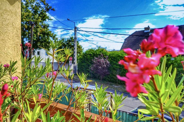 Eladó családi ház, Szentendrén 178 M Ft, 4 szobás