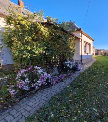 Eladó családi ház, Rezin 65 M Ft, 3 szobás