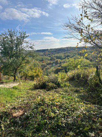 Eladó telek, Pethőhenyen 1.5 M Ft / költözzbe.hu