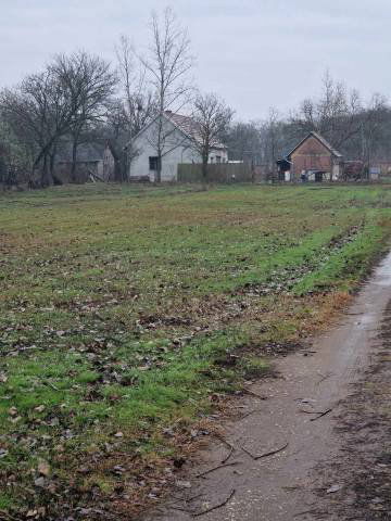 Eladó családi ház, Dabason 25 M Ft, 1 szobás