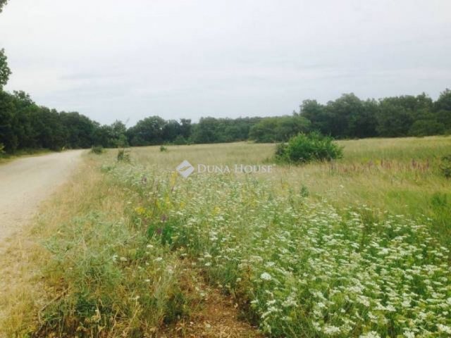 Eladó mezogazdasagi ingatlan, Öskün 15 M Ft