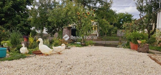 Eladó családi ház, Baksán 61.99 M Ft, 3 szobás