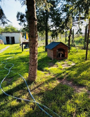 Eladó családi ház, Kömlődön 56.9 M Ft, 2 szobás