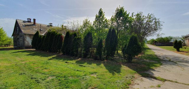 Eladó mezogazdasagi ingatlan, Kisszőlősön 64.9 M Ft