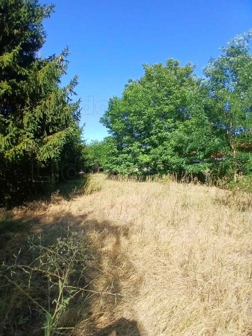 Eladó telek, Bakonytamásin 6.5 M Ft / költözzbe.hu
