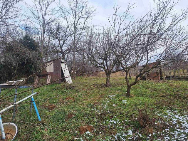 Eladó mezogazdasagi ingatlan, Igalon 3.99 M Ft, 1 szobás