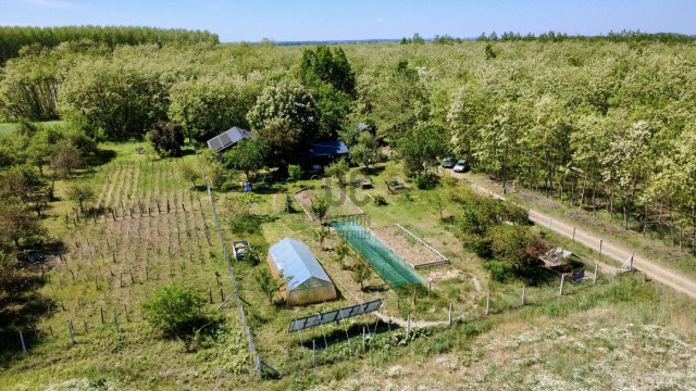 Eladó családi ház, Kecskeméten 62 M Ft, 2 szobás
