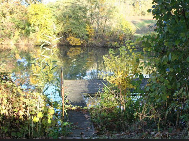 Eladó nyaraló, Gyomaendrődön 29 M Ft, 3 szobás