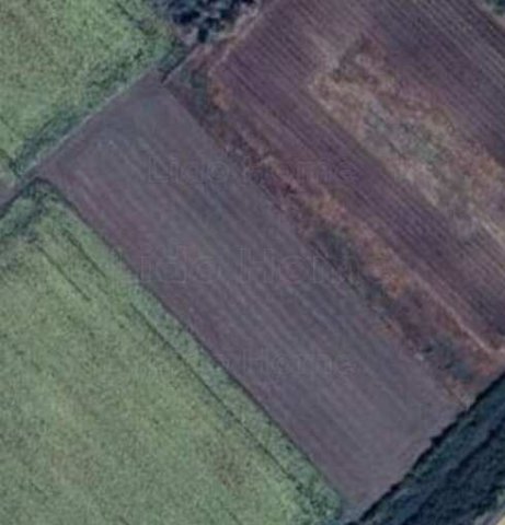 Eladó mezogazdasagi ingatlan, Balatonvilágoson 3.9 M Ft
