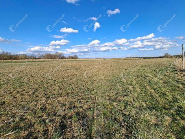 Eladó mezogazdasagi ingatlan, Ebergőcön 5.9 M Ft