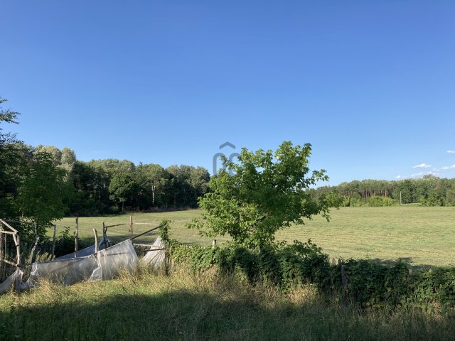 Eladó családi ház, Debrecenben 42 M Ft, 4 szobás