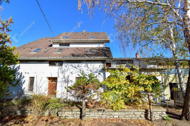 Eladó családi ház, Ásotthalmán 52.9 M Ft, 12 szobás