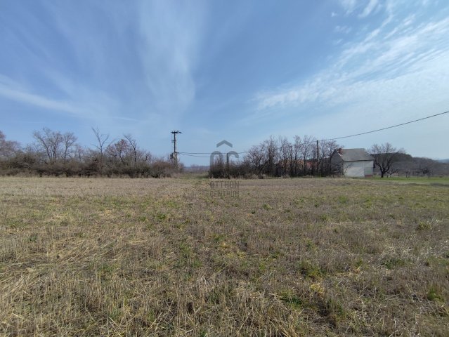 Eladó mezogazdasagi ingatlan, Magyaralmáson 10.3 M Ft