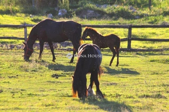 Eladó családi ház, Császártöltésen 187 M Ft, 4 szobás