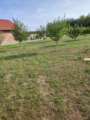 Eladó telek, Szigetcsépen 22.5 M Ft / költözzbe.hu