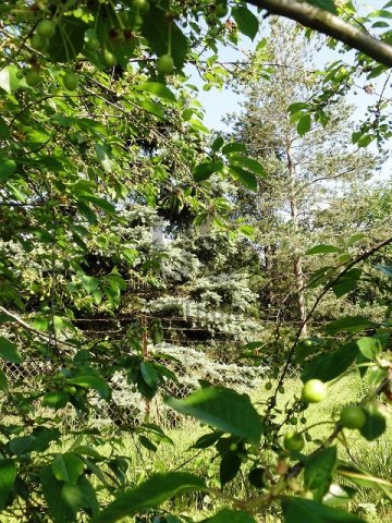 Eladó telek, Pátyon 20 M Ft / költözzbe.hu