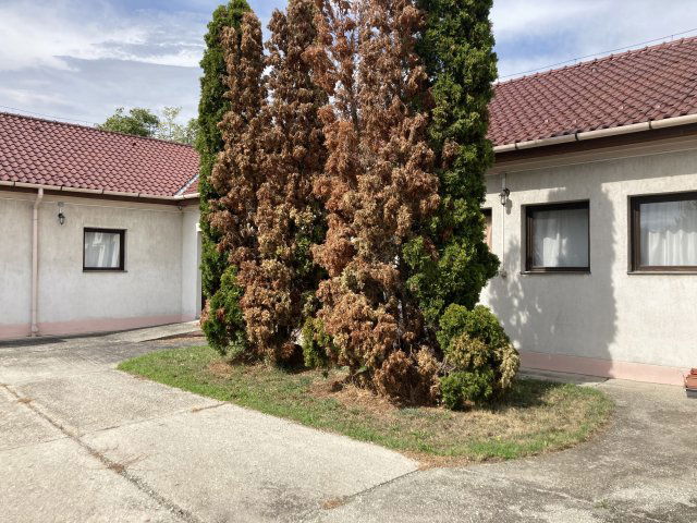 Eladó telek, Győrött, Győri úton 320 M Ft, 1 szobás