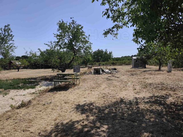 Eladó mezogazdasagi ingatlan, Balatonalmádiban 45 M Ft
