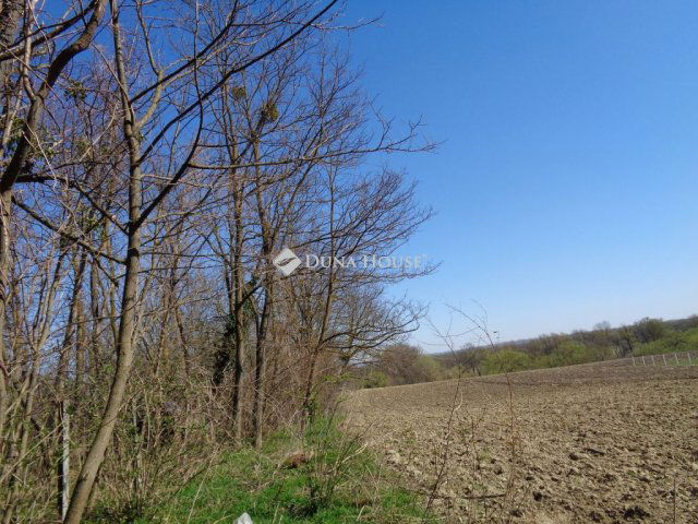 Eladó telek, Zalaszabaron 2.014 M Ft / költözzbe.hu
