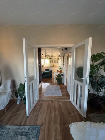 Kiadó téglalakás, albérlet, Kecskeméten 320 E Ft / hó