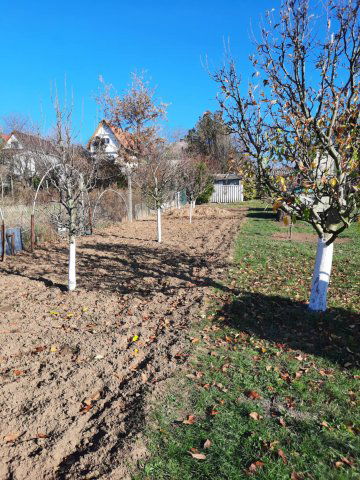 Eladó nyaraló, Oroszlányban 11.9 M Ft, 1 szobás