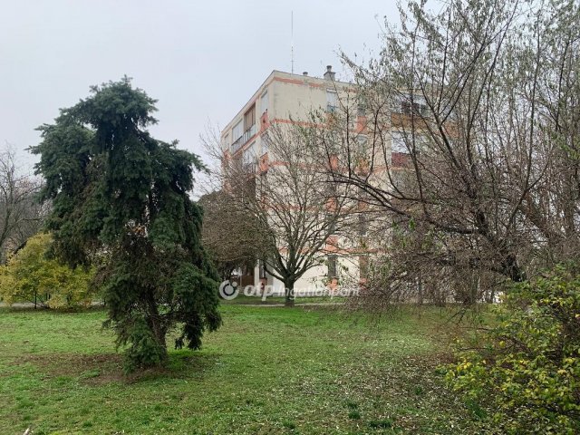 Eladó téglalakás, Törökszentmiklóson 15.8 M Ft, 1 szobás