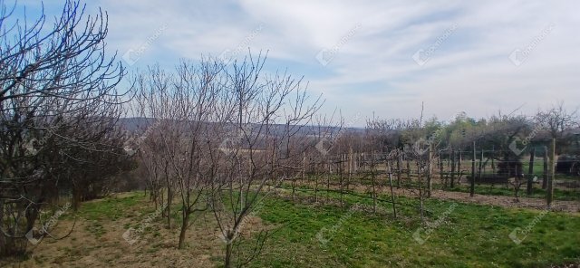 Eladó telek, Bocföldén 7.5 M Ft / költözzbe.hu