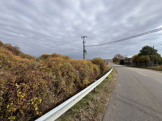 Eladó telek, Szekszárdon 1 M Ft / költözzbe.hu