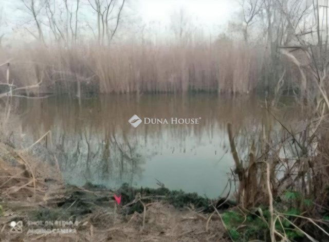 Eladó telek, Tiszapüspökin 9.5 M Ft / költözzbe.hu