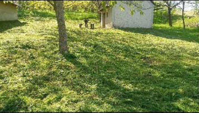 Eladó mezogazdasagi ingatlan, Gamáson 3.5 M Ft