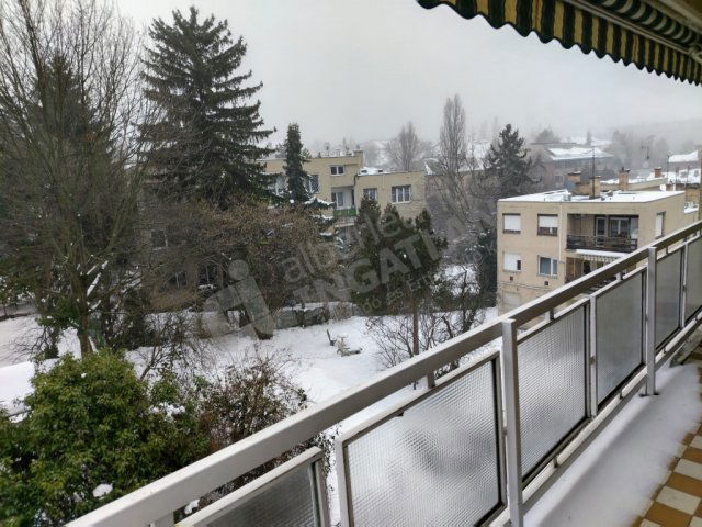 Kiadó téglalakás, albérlet, XII. kerületben, Szamóca utcában