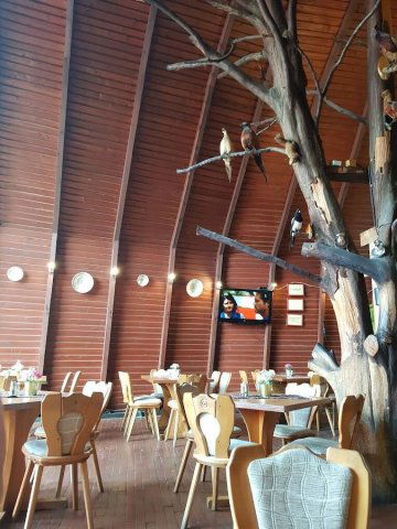 Eladó családi ház, Mocsán 460 M Ft, 24+2 szobás