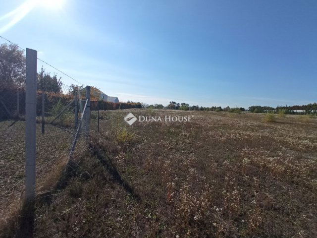 Eladó telek, Pátyon, Határ úton 75 M Ft / költözzbe.hu