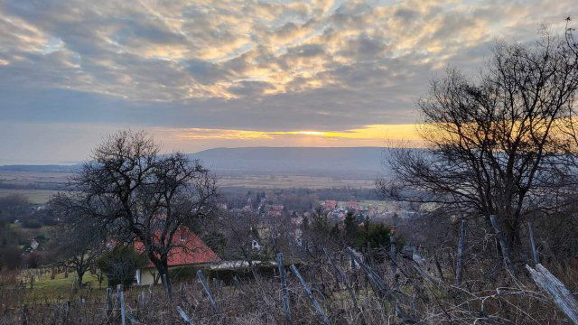 Eladó telek, Hegymagason 29.9 M Ft / költözzbe.hu