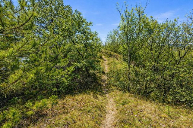 Eladó telek, Kincsesbányán 49 M Ft / költözzbe.hu