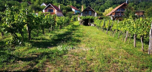 Eladó mezogazdasagi ingatlan, Magyarpolányban 15.5 M Ft