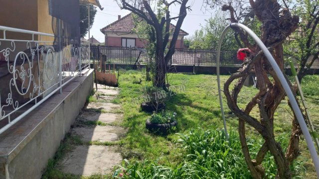 Eladó családi ház, Sarkadon 18 M Ft, 3 szobás