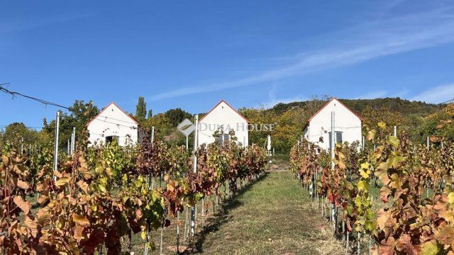 Eladó családi ház, Paloznakon 349 M Ft, 3 szobás