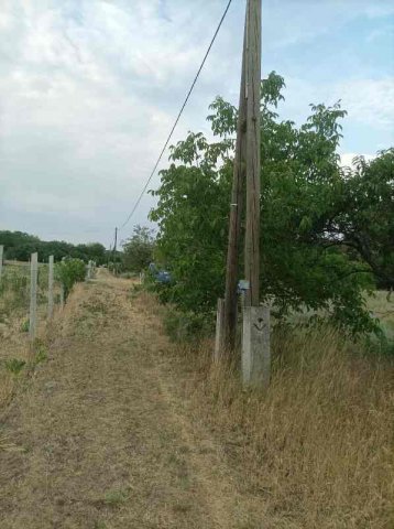 Eladó mezogazdasagi ingatlan, Csemőn 6.9 M Ft