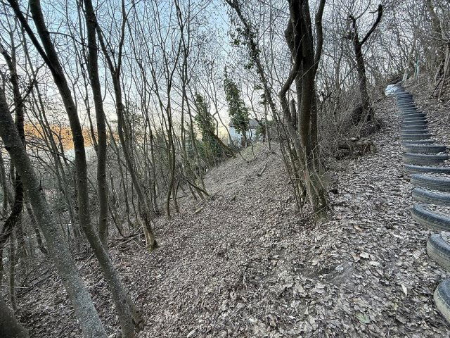 Eladó telek, Leányfaluban 19.5 M Ft / költözzbe.hu