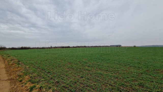 Eladó mezogazdasagi ingatlan, Fertőszéplakon 41.5 M Ft