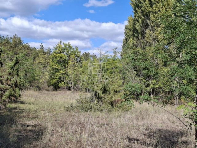 Eladó mezogazdasagi ingatlan, Kerekegyházán 2.8 M Ft