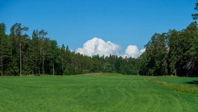 Eladó mezogazdasagi ingatlan, Kiskunhalason 24.99 M Ft