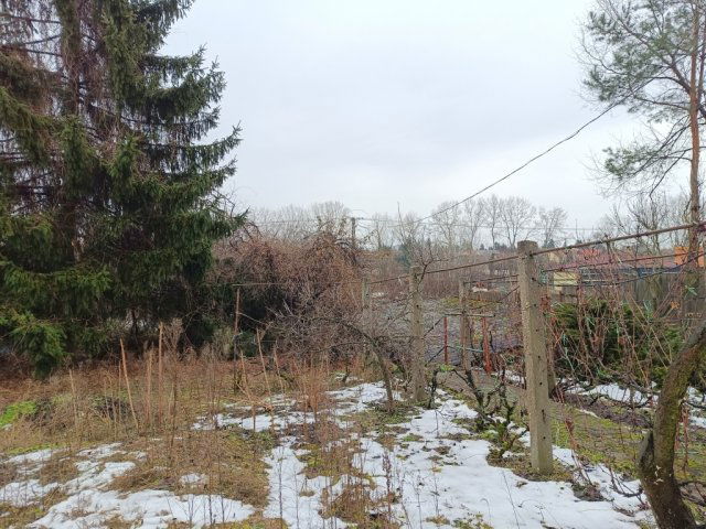 Eladó családi ház, Nyíregyházán 38 M Ft, 4 szobás