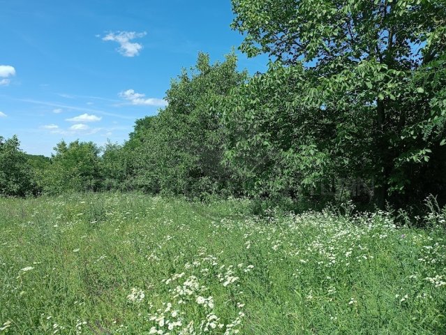 Eladó telek, Écsen 25.5 M Ft / költözzbe.hu