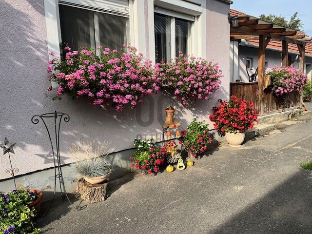 Eladó családi ház, Szepetneken 39.9 M Ft, 2 szobás